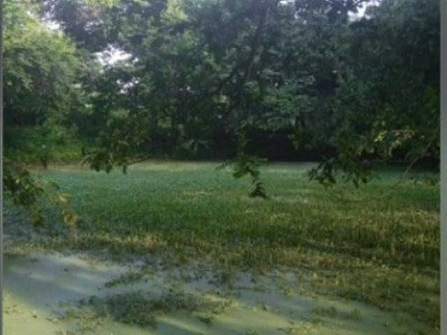 Terreno / Solar en venta Juan de Acosta, Colombia