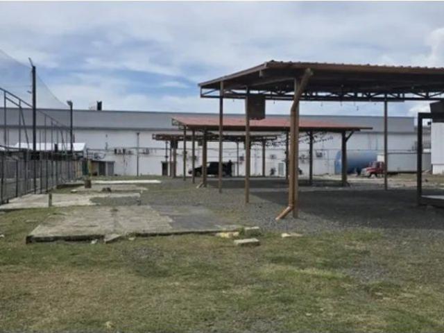 Terreno alquiler en La Chorrera