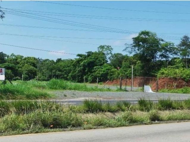 Terreno alquiler en Arosemena, La Chorrera