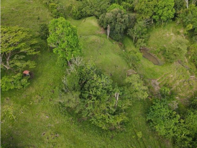 Lote en venta en Antioquia, Suroeste