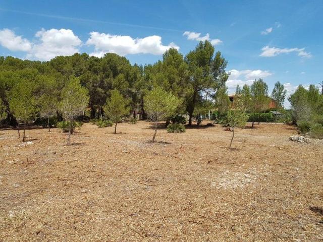 Terreno en venta en Sant Jordi d'Alfama, Baix Ebre
