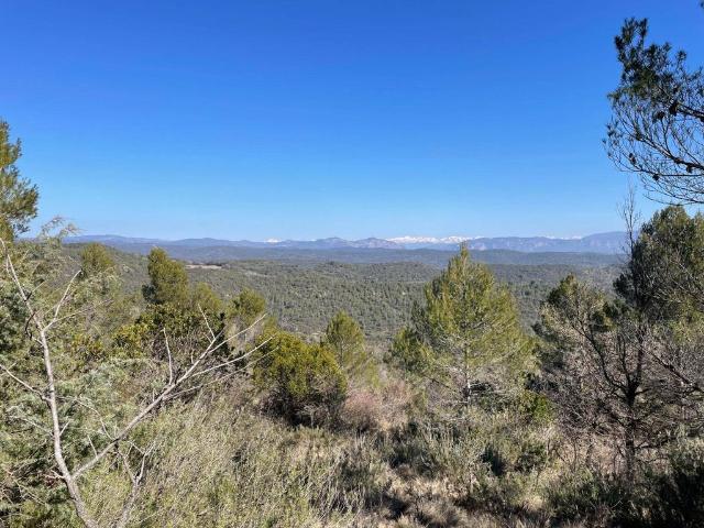Terreno en venta en Cinco Villas, Aragón