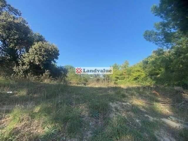 Terreno en venta en Moncloa-Aravaca, Medina-sidonia