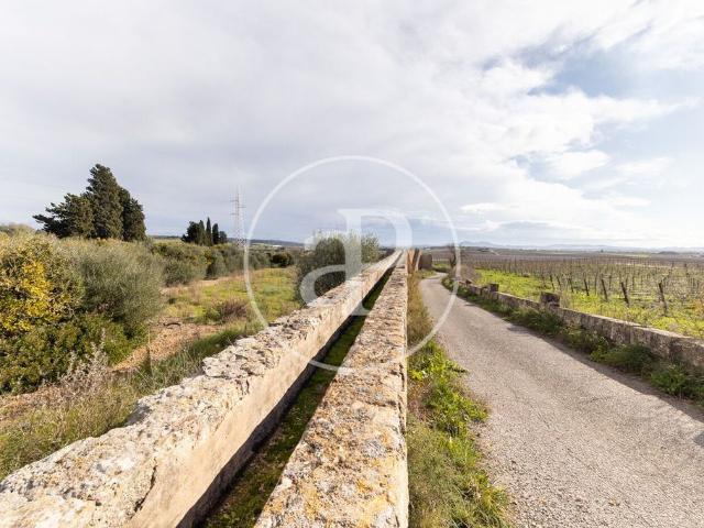 Terreno en venta en Petra, Baleares