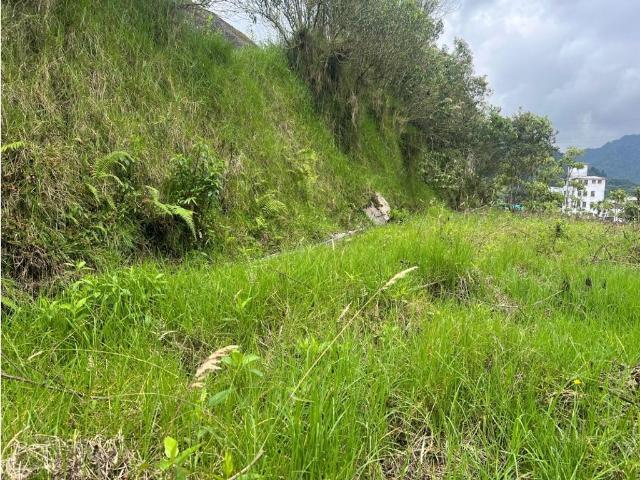 Lote en arriendo en Caldas, Manizales