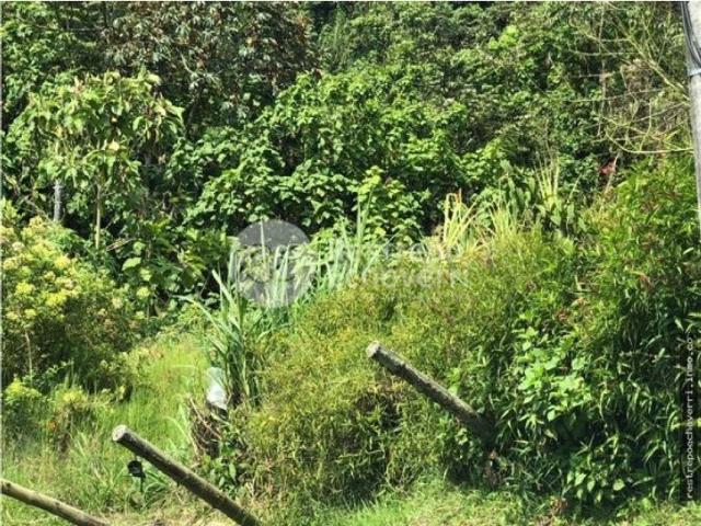 Terreno / Solar en venta Manizales, Colombia