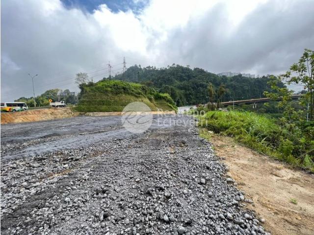 Terreno / Solar en venta Manizales, Colombia