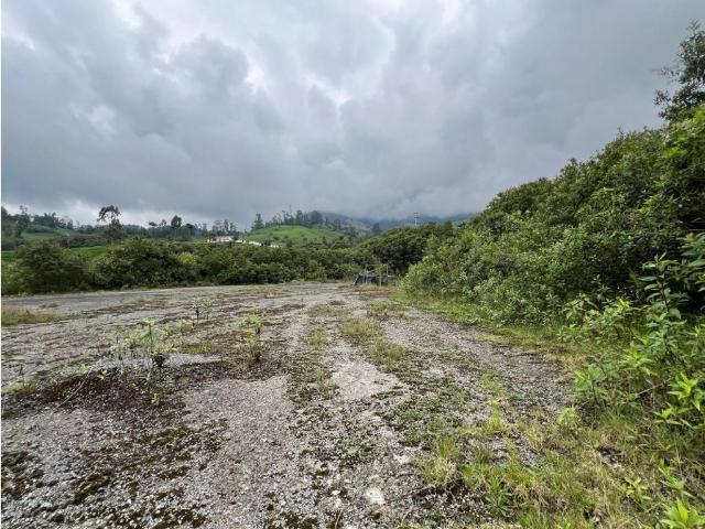 Terreno / Solar en venta Manizales, Colombia