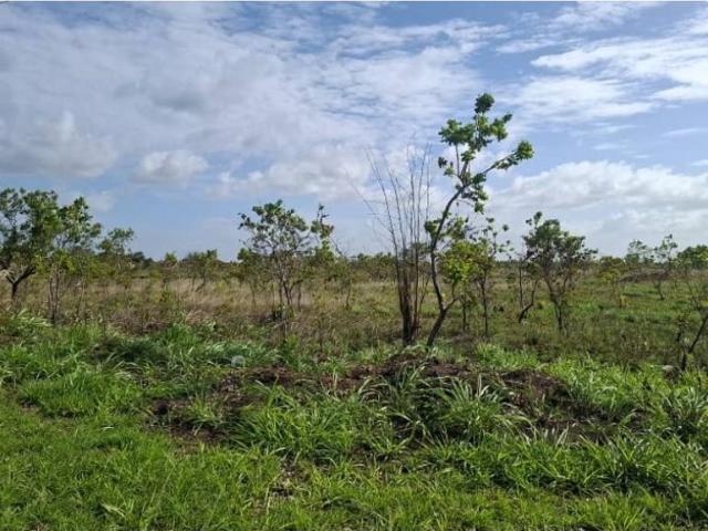 Terreno en venta en Maturin, Monagas