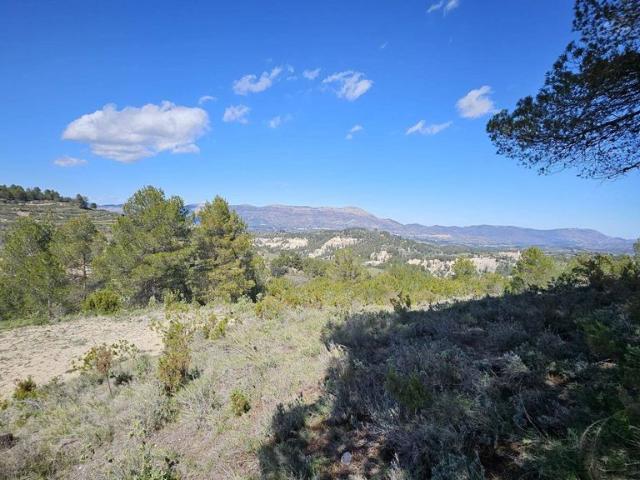 Terreno en venta en el Comtat, Valencia