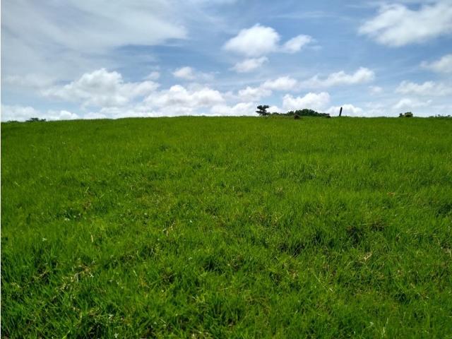 Lote en venta en Córdoba