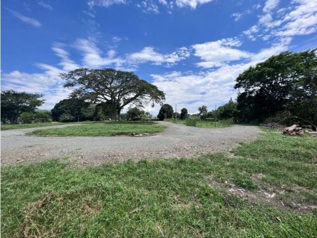Lote en arriendo en Caldas, Palestina