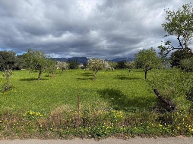 Terreno en venta en Son Espanyol, Palma