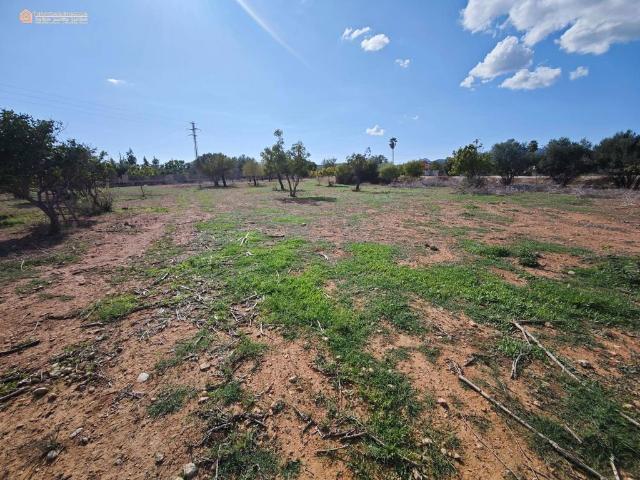 Terreno en venta en Son Sardina, Palma