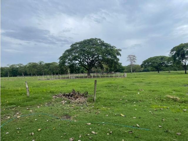 Terreno en venta en Portuguesa