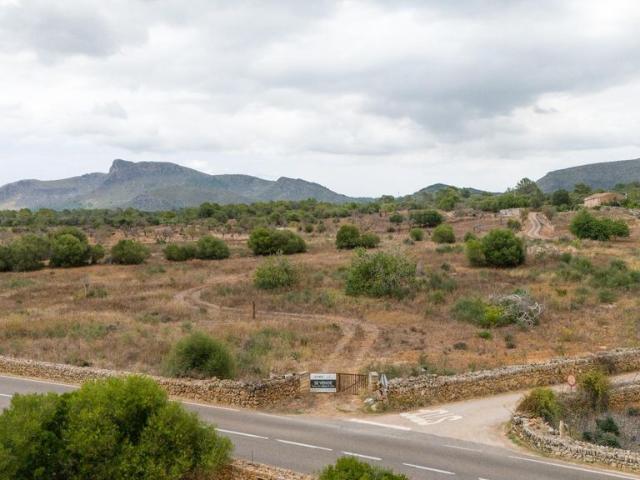 Terreno en venta en Petra