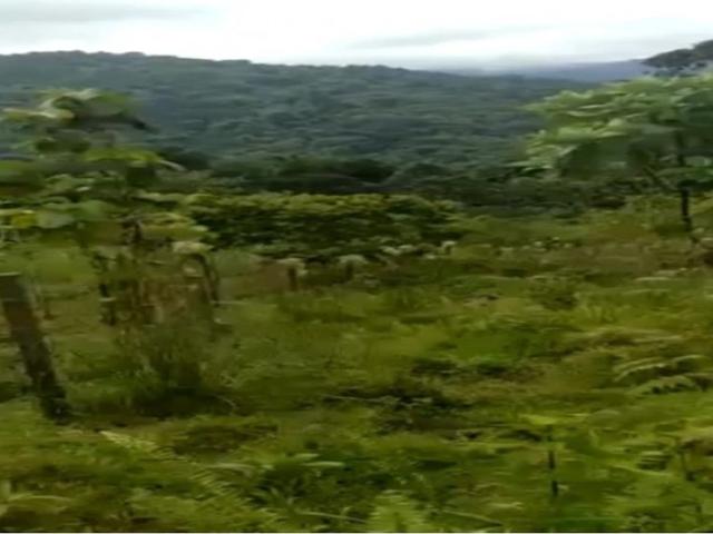Terreno venta en Portobelo, Colón