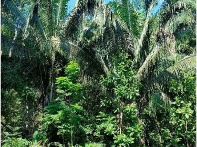 Lote en venta en Cundinamarca