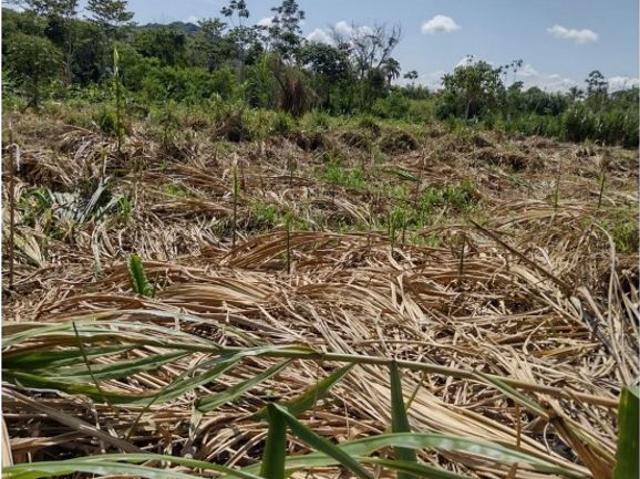 Lote en venta en Risaralda, Bajo Occidente