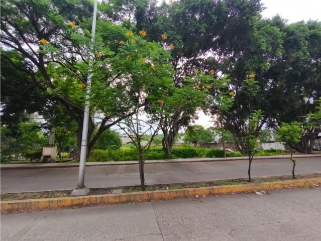 Terreno en renta en Sahuayo, Michoacán
