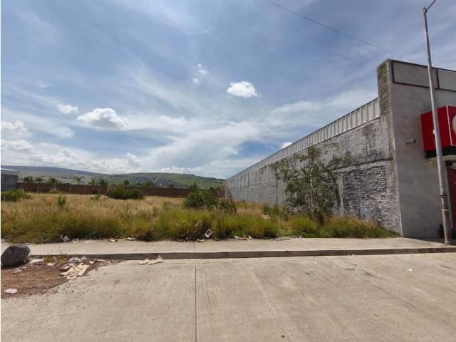 Terreno en renta en Sahuayo, Michoacán