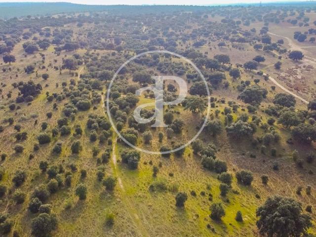 Terreno en venta en Valdelagua, San Agustín Del Guadalix