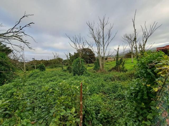 Terreno en venta en Campo de Golf, Tacoronte