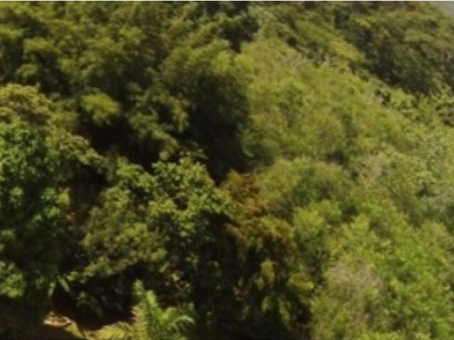 Terreno venta en San Pablo Viejo, David