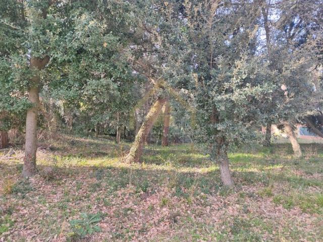 Terreno en alquiler en Vallès Oriental, Catalunya