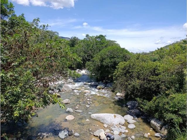 Lote en venta en Antioquia, Nordeste