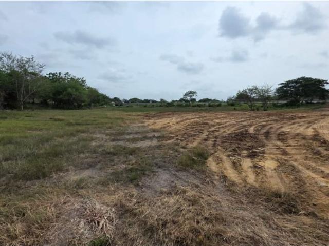Lote en venta en Santo Tomás