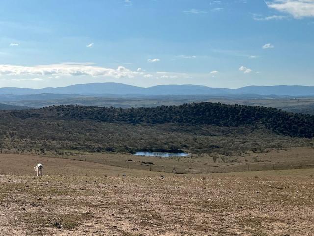 Terreno en venta en Valencia De Alcántara