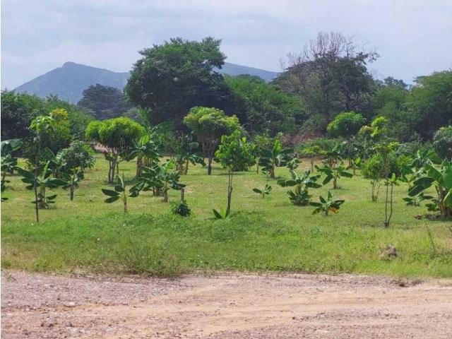 Terreno / Solar en venta Valledupar, Departamento del Cesar