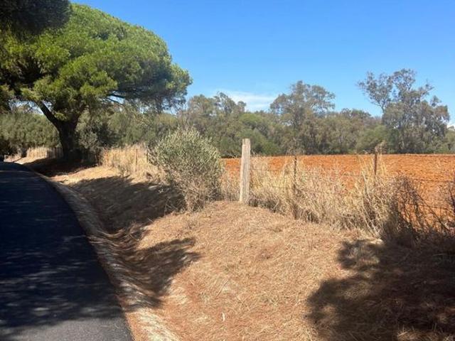 Terreno en venta en La Muela, La Janda