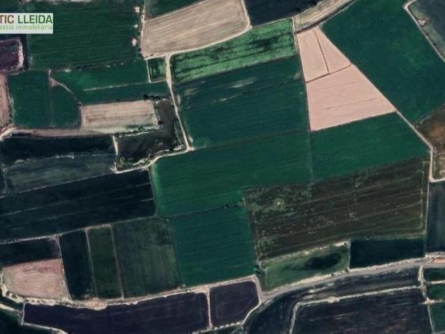 Terreno en venta en Vila-sana, Lleida