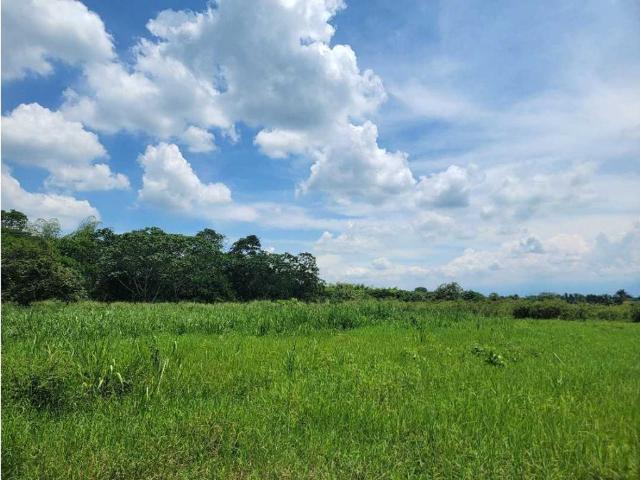 Lote en venta en Villa Rica, Cauca