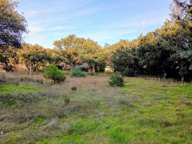 Terreno en venta en La Raya del Palancar-Guadamonte, Villanueva De La Cañada