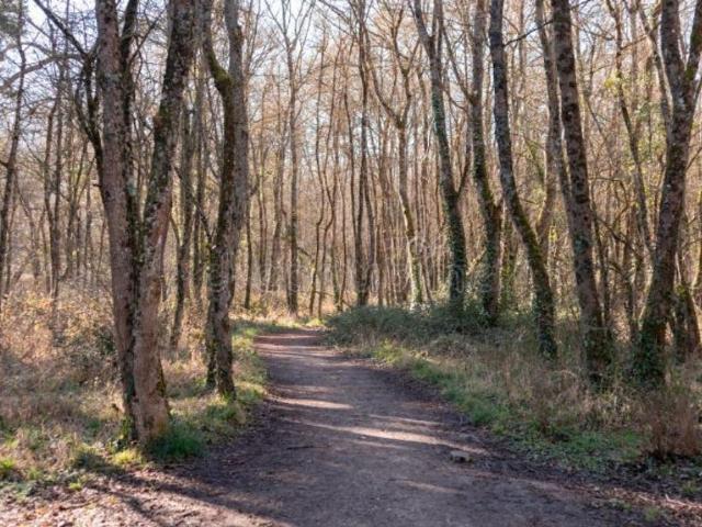 Terreno en venta en Mendizorrotza, Gasteizko kuadrilla