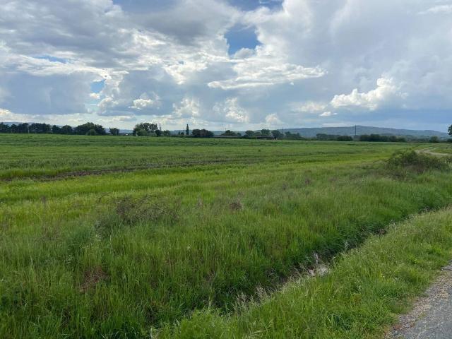 Terreno en venta en A Limia, Galicia