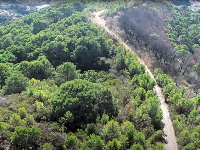 Terreno en venta en Forest Hills, Costa del Sol Occidental