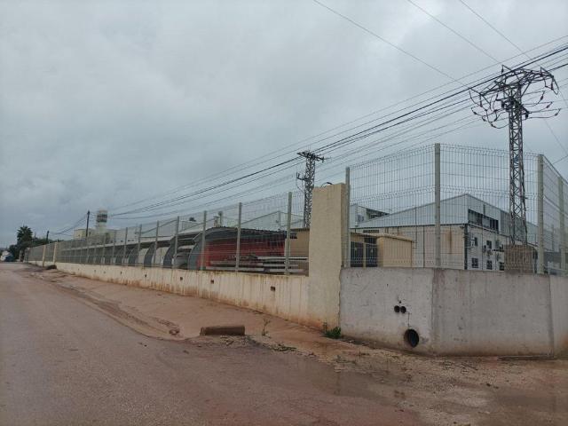 Terreno en venta en La Gineta, Oriental