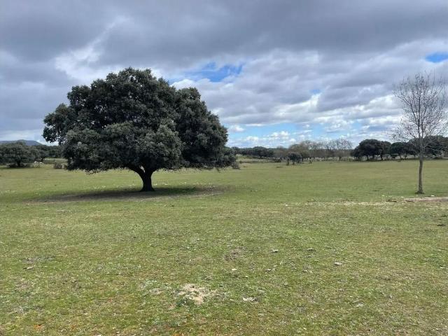 Terreno en venta en Galapagar, España