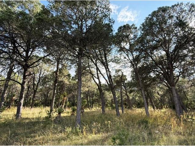 Terreno en venta en Galeana, Nuevo León