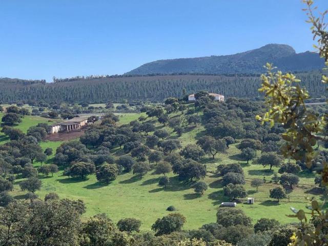 Terreno en venta en Garbayuela, Badajoz