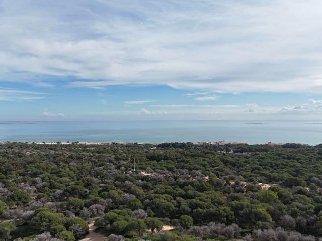 Terreno en venta en Urbanització Els Estanys, el Baix Segura / La Vega Baja