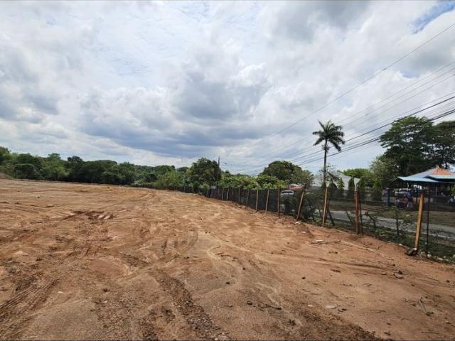 Terreno alquiler en Arosemena, La Chorrera
