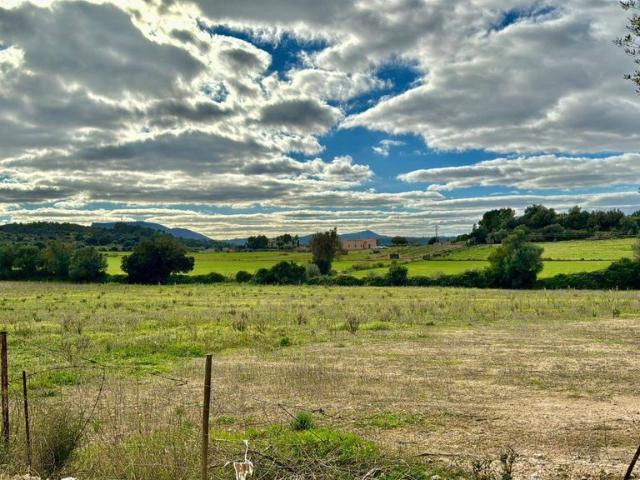 Terreno en venta en Pla de Mallorca, Baleares