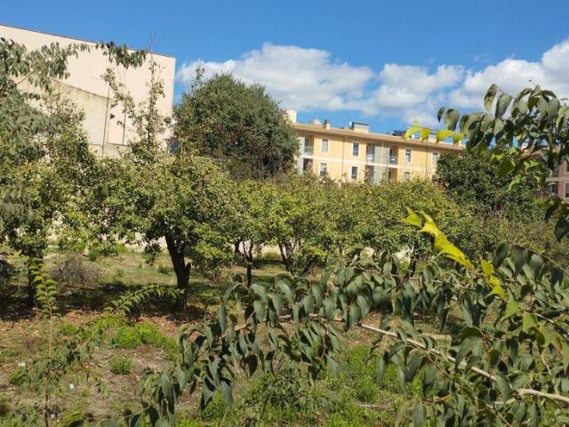 Terreno en venta en Raiguer, Baleares