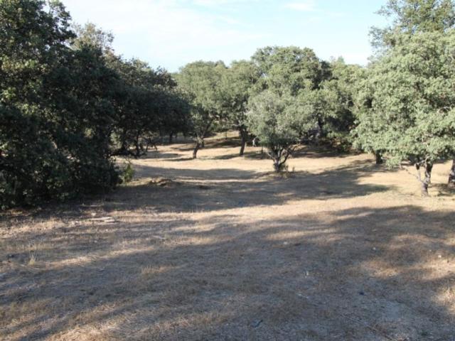 Terreno en venta en Ciudalcampo, San Sebastián De Los Reyes