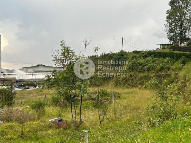 Terreno / Solar Manizales, Departamento de Caldas